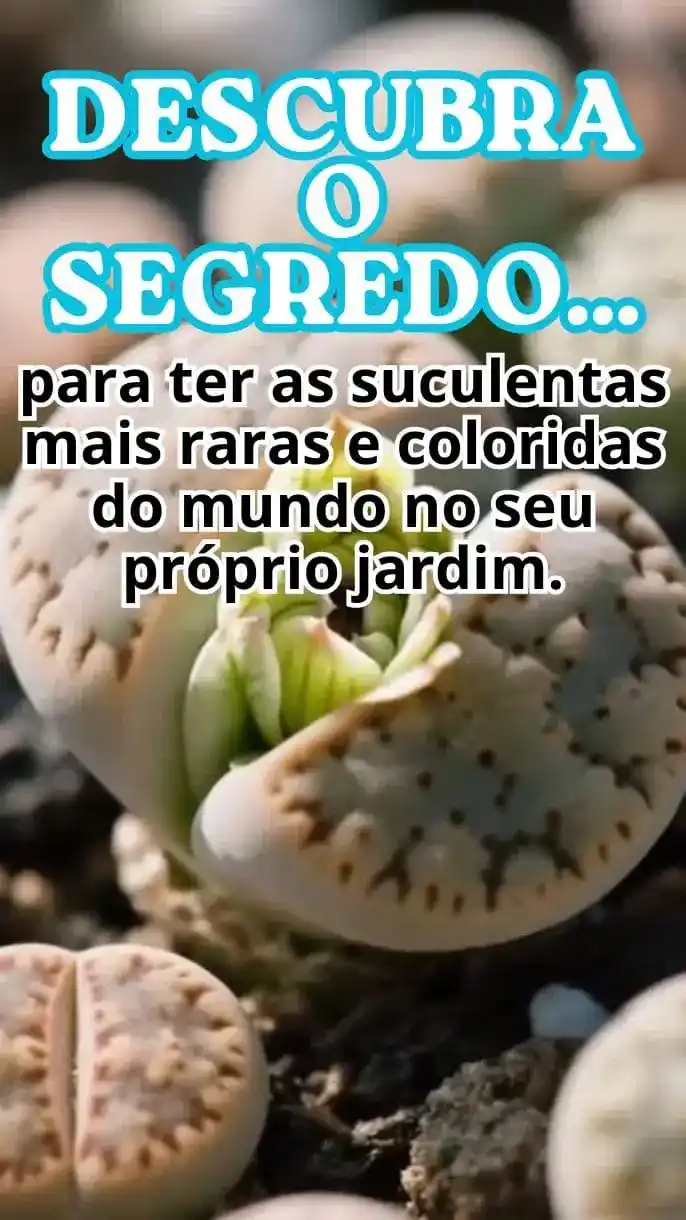 Suculentas Raras